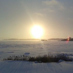 Meet your Posher, Bruce